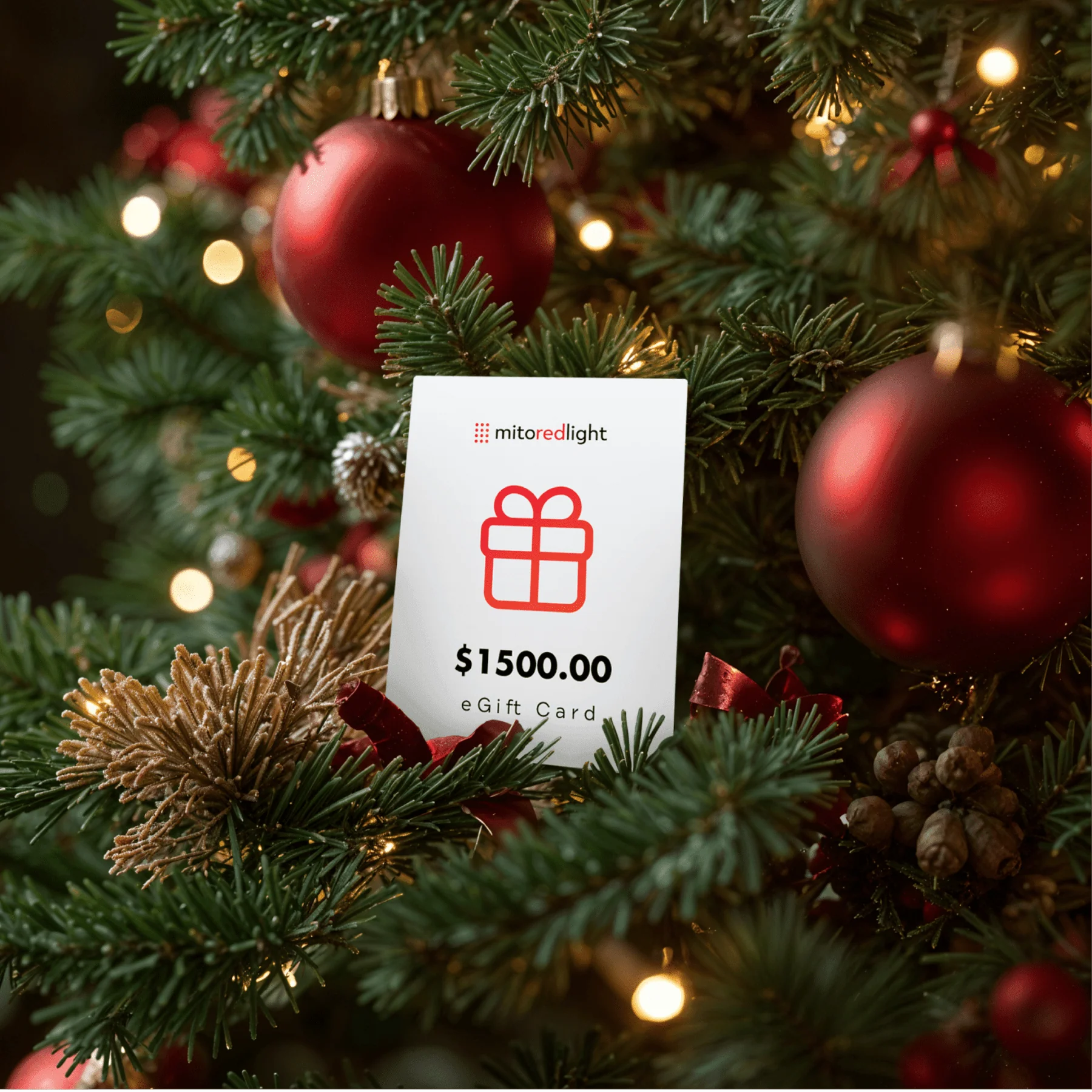 Mito Red Light eGift Card - Image 4